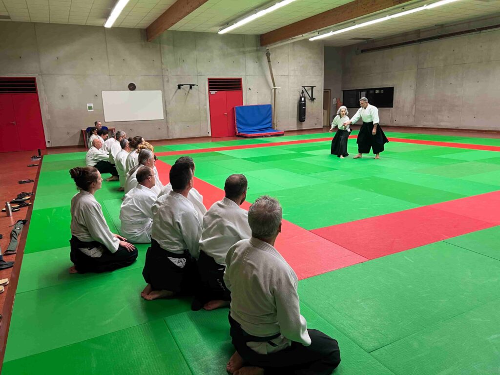 Aïkido au Féminin
Aïkido Guichen
Interclub animé par Serge Retourné